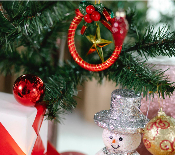 Choosing the Perfect Christmas Tree for Your Home